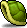 Turtle Shell